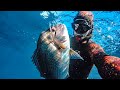 4 Tips on Spearfishing SNAPPER