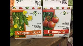 Інструкція по застосуванню Алірин б для томатів