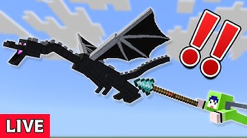 【アプデ&18万人記念】槍エリトラでエンドラ突き破るまで終われません！【生配信！】