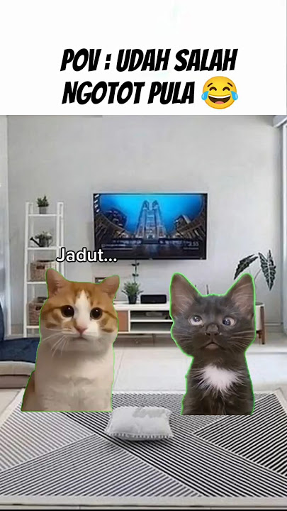 Pov : Udah salah Ngotot 😂 #pov #meme #cat #kartun #shortsviral