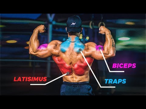 FULL Back Workout for MUSCLE Building!