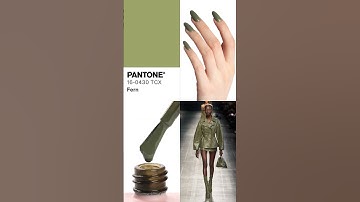 Pantone Color Trend Report for Autumn-Winter 2024/25