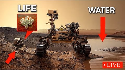 NASA Mars Rover Sent Breathtaking Footage of Mars Discoveries | Perseverance Rover Mars In 4K