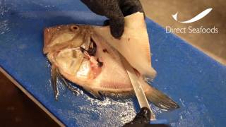 Direct Seafoods: How to Fillet a John Dory
