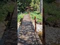 rickety auld Bridge over a wee river. Scottish Glen's. #scotland #river #summer