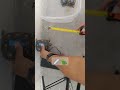 📏 ¿Cuánto mide una tortuga? | Measuring a Tortoise 🐢