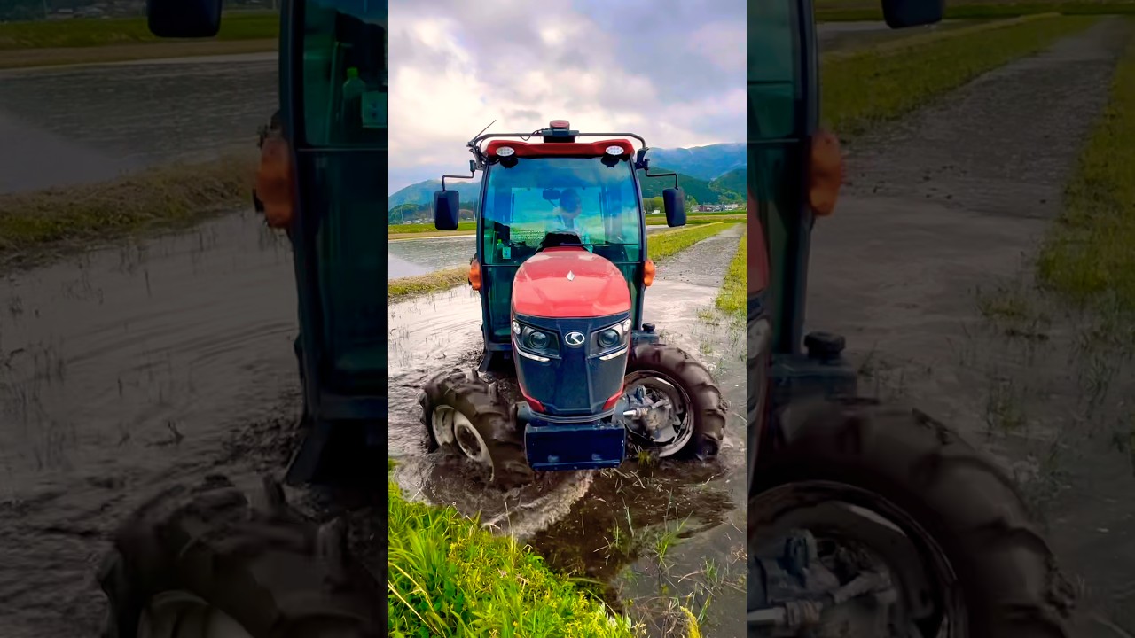 【Kubota】 代掻き作業 TRACTOR WORK puddling#kubota #代掻き #puddling#tractor#tractors #agriculturelife