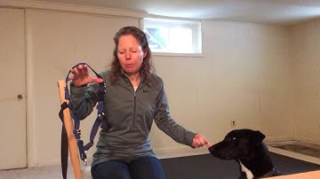 Explanation of harness shaping and Che