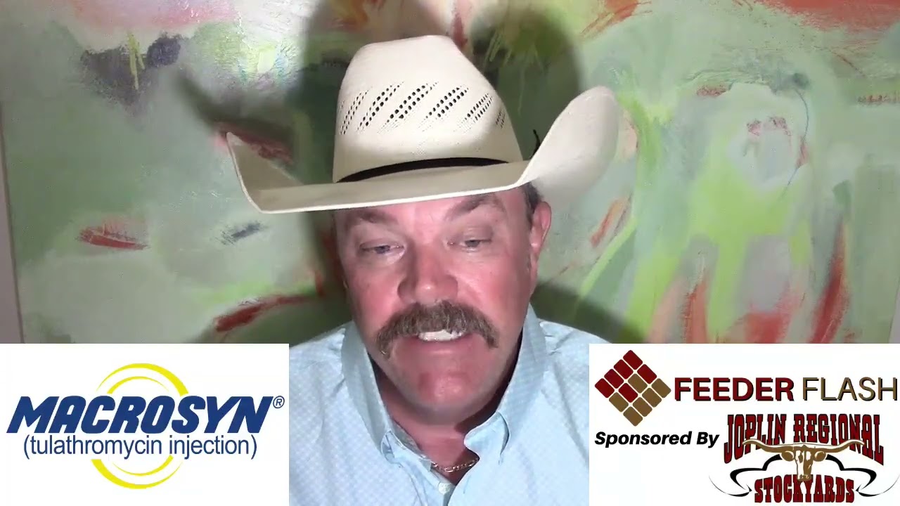 Feeder Flash 8/18:  Choice Boxes Crack $4.00