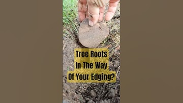 Tree Roots Blocking Your Edging? Use This Tool Trick!