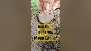 Tree Roots Blocking Your Edging? Use This Tool Trick!