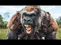 KINGDOM OF THE PLANET OF THE APES - All Trailers From The Movie (2024)
