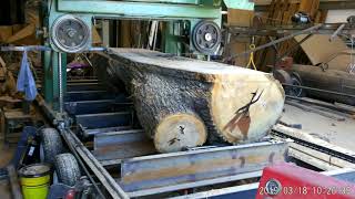 Homemade sawmill cutting  large pecan log 2019 March 18 Broke the saw