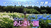 絶景茨城 紫陽花 雨引観音 Visit Ibaraki Japan Youtube