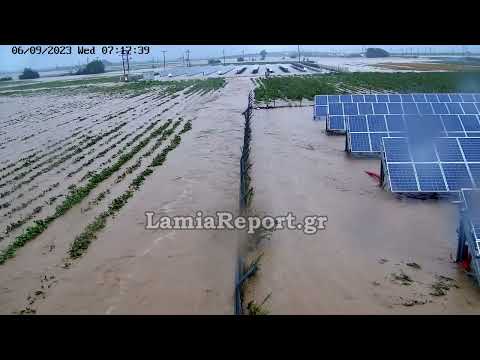 LamiaReport.gr: Πλημμύρισμένες καλλιέργιες στο Πουρνάρι Δομοκού