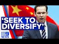 Australia's priority should be to 'diversify' trade: Senator Canavan | 9 News Australia