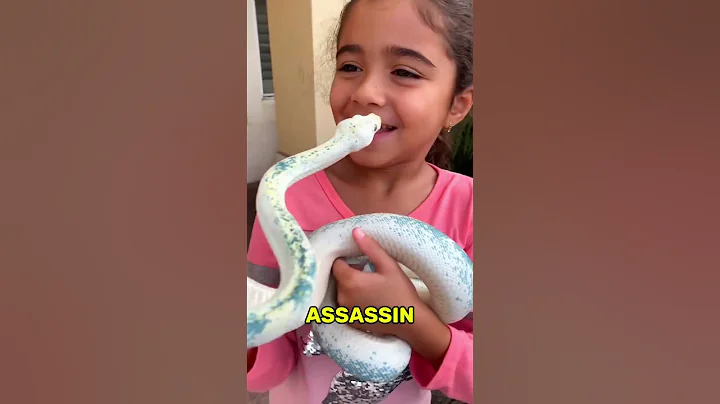 These Are the Friendliest Snakes People Aways Fear 🐍 😅 😆