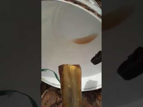 وهكدا يتم استنتاج عصير نخلة كيمة نقلو حنا لاڨمي ونرمالمو راهي خارجة أغنية نجيبو لاڨمي من نخلة