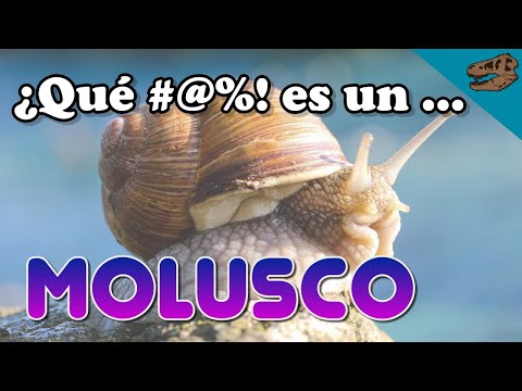 ¿Qué #@%! es
