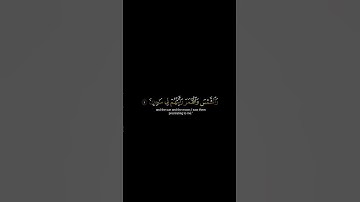 ماتيسر من سورة يوسف القارئ عبيدة الكردي شاشة سوداء