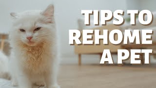 Advice and Tips to Safely Rehome Your Pet | Finding Your Pet a New Home by Furry Diary 1,812 views 2 years ago 5 minutes, 54 seconds