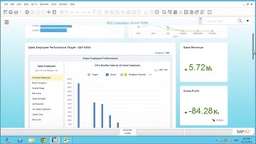 SAP Business One: Introduction