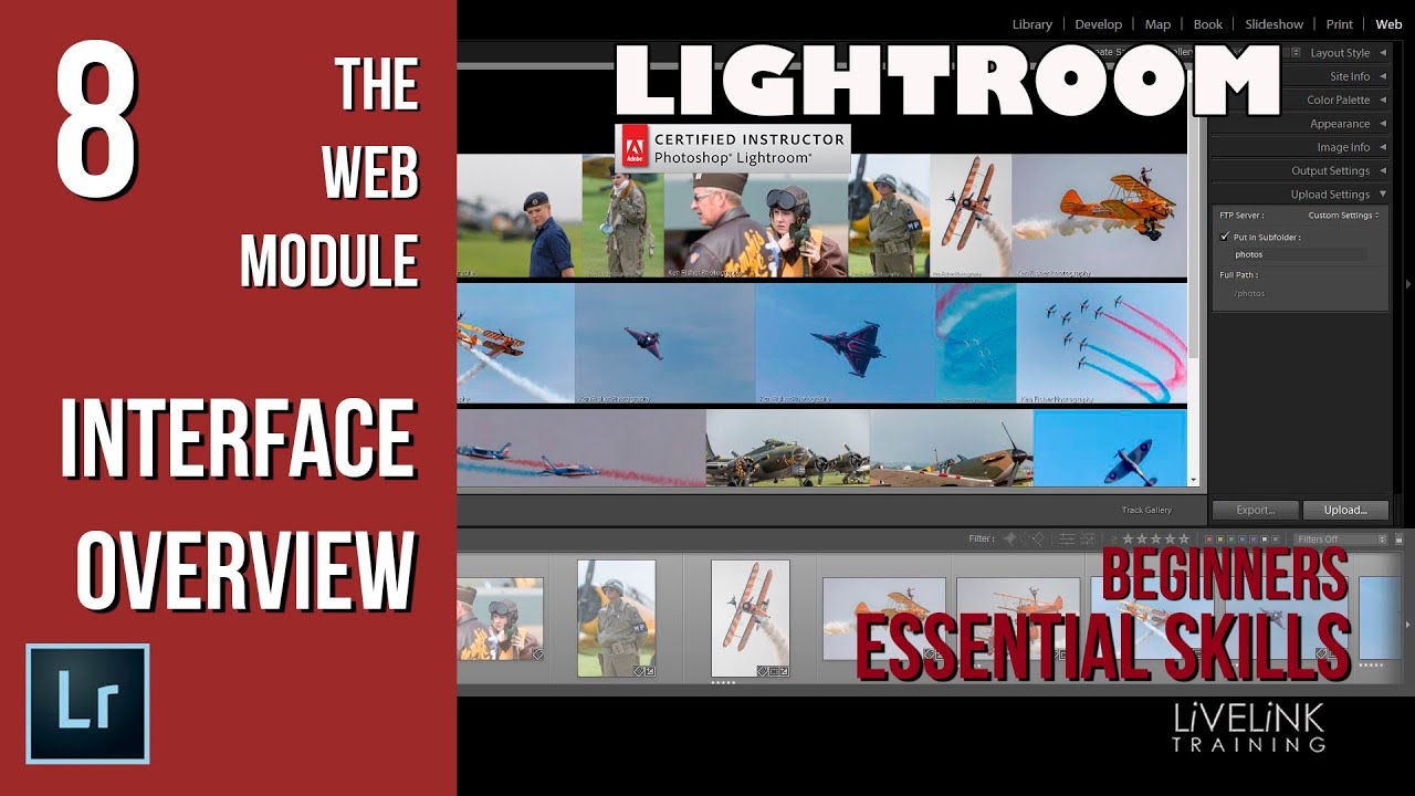 Module 8 - The Web Module Overview