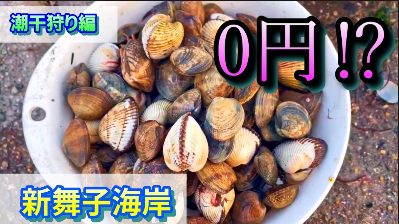 【潮干狩り】2026年新舞子海岸は今も無料？素手で爆採れ検証