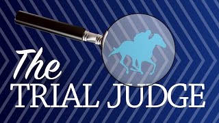 Trial Judge: Newmarket 20-04-17