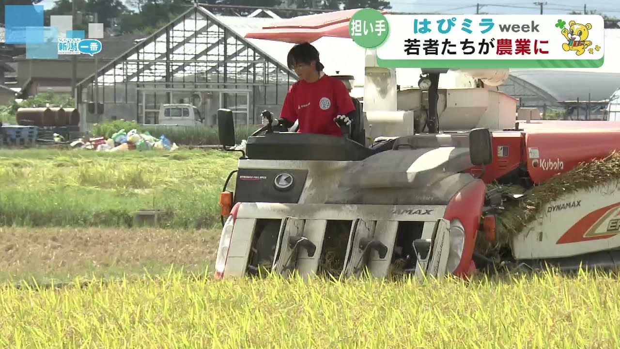 若い農家 非農家だから強い。30代のチームで稼ぐ新時代の農業経営｜アグリウェブ