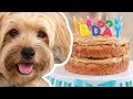 Gemma makes a Dog Birthday Cake for Waffles | Bigger Bolder Baking