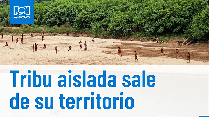 Nuevas imágenes de la tribu aislada más grande del mundo