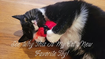 Potaroma Chirping Bird Toy Review: Perfect Indoor Cat Toy!