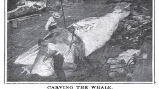 Moby Dick By Herman Melville Audio Book Chapter 10-12