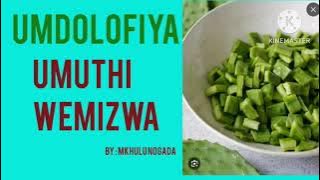 UMDOLOFIYA UMVUSANKUNZI
