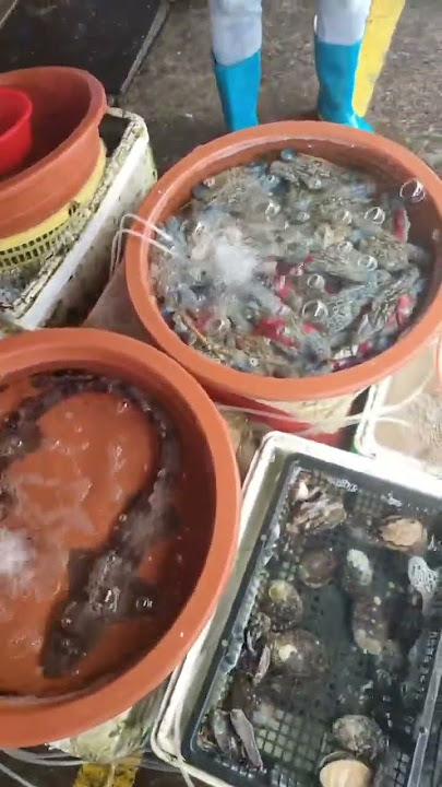 Seafood in Tong’an