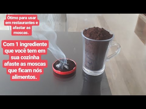 INSETICIDA ECOLÓGICO PARA AFASTAR AS MOSCAS COM 1 INGREDIENTE DA SUA CASA!!!