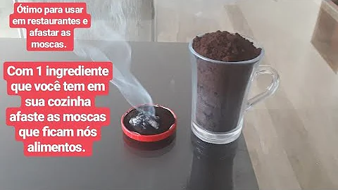Como acabar com praga de besouros?