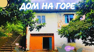 картинка: Дом в культурной, греческой деревне - Дагва | Country house for sale in greece village Dagva,Georgia