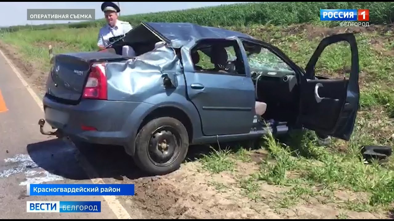Оформление дтп в красногвардейском районе