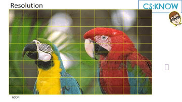 image representation