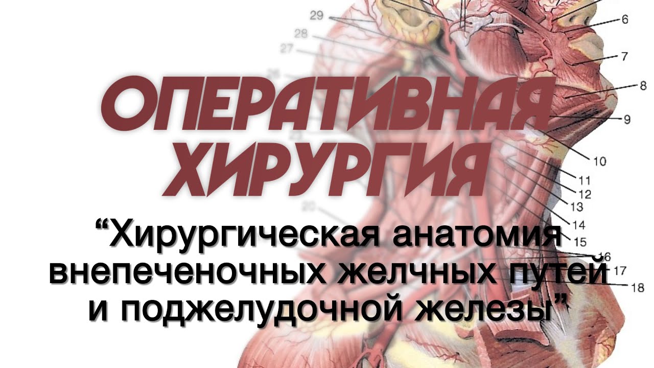 Оперативная хирургия №5 "Хирургическая анатомия внепеченочных желчных путей и поджелудочной железы"