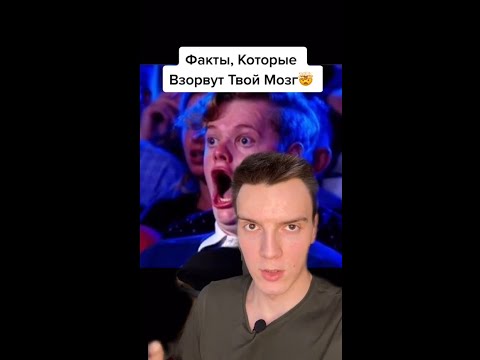 Грибы на самом деле - маленькие люди..