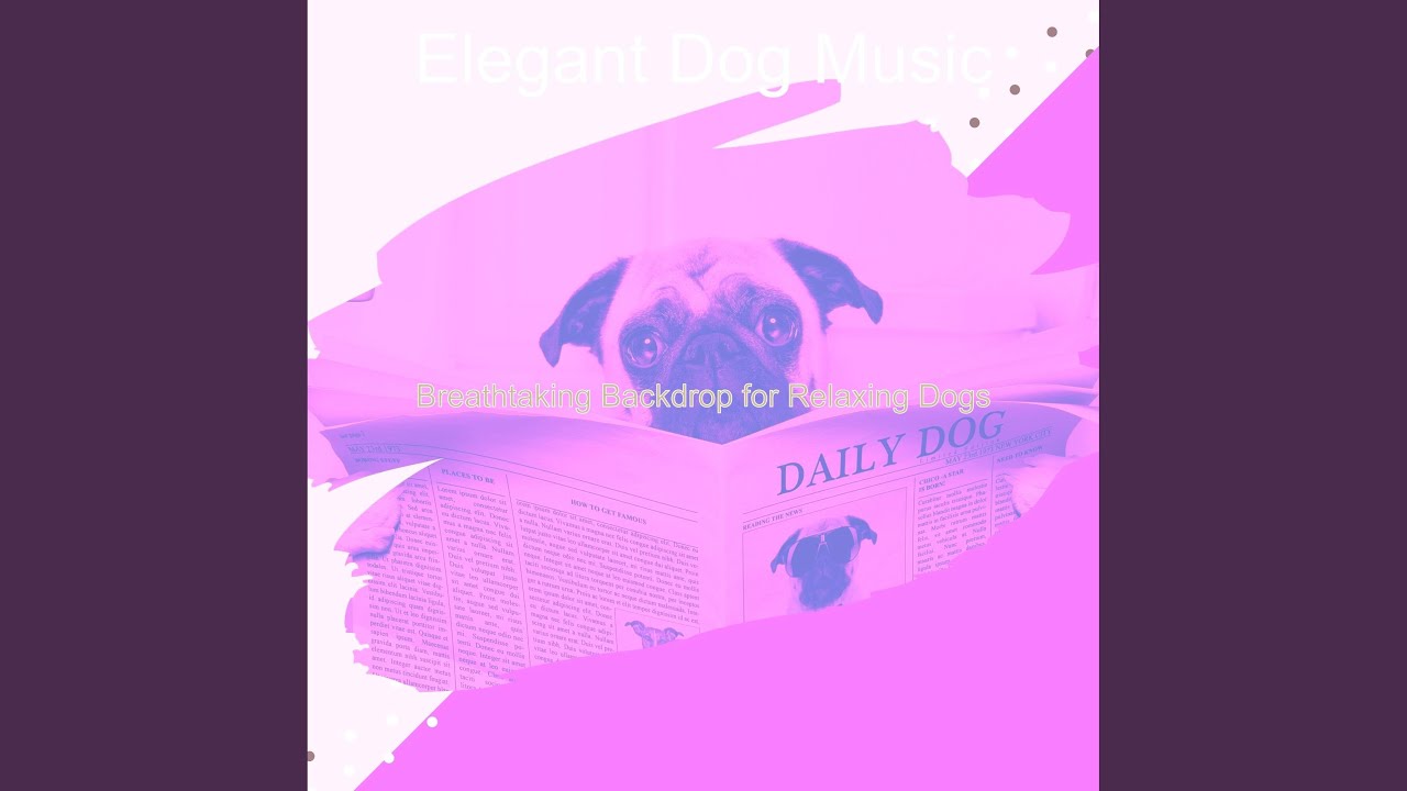 Retro Music for Calming Your Dog