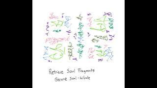 Light Language: Retrieve Soul Fragments/ Become Soul-Whole