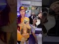 念願のライオンを飼いました！【レベチな大家族】#shorts