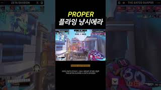 프로퍼 플라잉 냥시에라