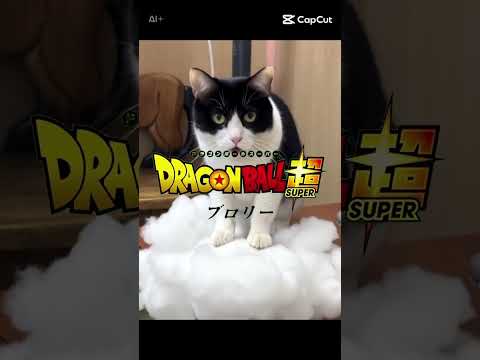 チニくーんどこへ〜