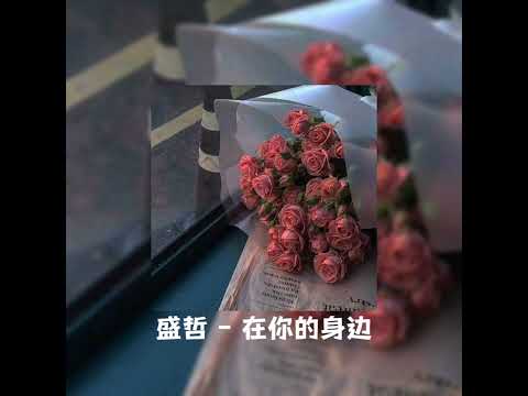 盛哲 - 在你的身边 (𝐒𝐥𝐨𝐰𝐞𝐝 + 𝐑𝐞𝐯𝐞𝐫𝐛) x0.8