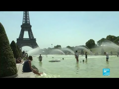 Vidéo: Canicule En Europe